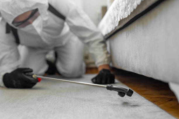 Professional Ant Control technician working in Warner, OK