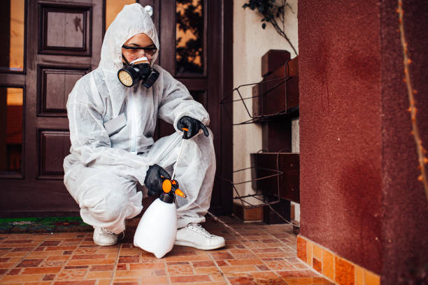 Reliable Ant Control contractor in Warner, OK by Show Me Pest Control